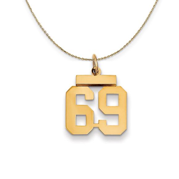 14k Yellow Gold, Athletic, Sm Polished Number 69 Necklace - 22 Inch - Picture 1 of 7
